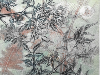 Gelli Plate Printing - image shows a gel print of winter foliage in cool icy blue and grey colours